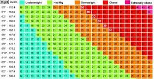 Pin On Health