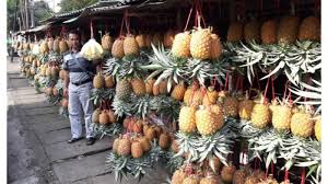 Pasalnya, nanas termasuk buah dengan serat tinggi yang secara efektif meringankan sembelit. Manfaat Buah Nanas Bagi Kesehatan Anda Tribunnews Com Mobile