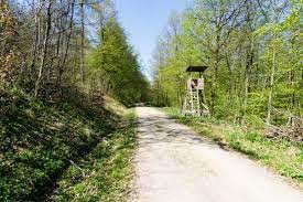 auf dem ith kammweg mit dem rattenfanger in teufels kuche auf den berg de naturschutzgebiet teufelskuche wanderung