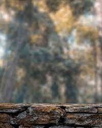 Futuristic Cb Background Hd For Picsart 2021 Full Hd Background Png Images Stock Images Free Iphone Background Images Dslr Background Images