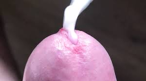 Close-up Cum Handsfree: Belgian Shemale Amateur Amateur Porn