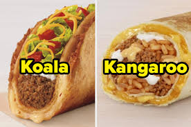 Chips and salsa are the ideal complement to any meal, in addition to napkins and the power of friendship. Taco Bell Australian Animal Food Quiz