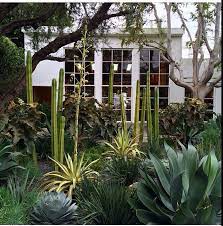 Isabel Marant Shop In La Elysian Landscapes Succulents Garden Design Front Yard Landscaping Dry Garden