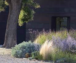 At The Front Of A Garden Bed In Northern Italy Designed By Turin Based Cristiana Ruspa A Clump Of Drought Tolerant Garden Landscape Design Garden Inspiration