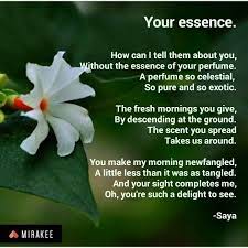 Your Essence Flower Poem Jasmine Flower Essence