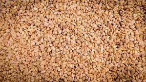 Can Cats Eat Sesame Seeds Is It Healthy For Them Excited Cats