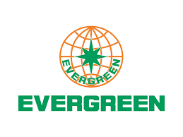 In botany, an evergreen is a plant which has foliage that remains green and functional through more than one growing season. Greencarrier Liner Agency Evergreen Greencarrier Liner Agency