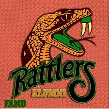 Pin By Adria Mitchell On Famu And Tailgating Famu Historically Black Colleges And Universities Universities In America