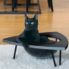 One reviewer put their many reviewers were worried about how the mesh would hold up, but one reports, my cat was clawing at the mesh and it did not rip during the 10 hour. 106 Cat Tree In 2020 Cat Lounge Cat Playground Outdoor Cats