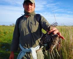 Gites chasse peche en argentine. Chasse Du Petit Gibier A San Javier Univers Chasse Peche