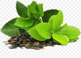 We did not find results for: Green Tea Herbal Tea Tea Bag Png 850x609px Green Tea Black Tea Epigallocatechin Gallate Extract Health