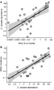 • 182 млн просмотров 5 лет назад. Increased Human Incidence Of West Nile Virus Disease Near Rice Fields In California But Not In Southern United States In The American Journal Of Tropical Medicine And Hygiene Volume 99 Issue 1 2018