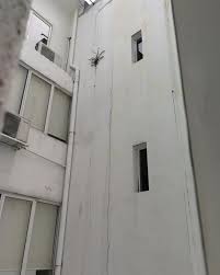 Severe Structural Cracks Found In 10 Storey Hostel Building Professional Services Structural Engineering Structures