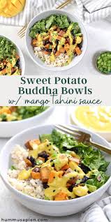Sweet Potato Black Bean Buddha Bowls With Mango Tahini Sauce Hummusapien Recipe In 2020 Vegetarian Recipes Lunch Plant Based Diet Recipes Healthy Soup Recipes