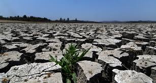 Todas las fotos son auténticas y no están retocan. Seremi De Salud De Valparaiso Anulo El Decreto Que Entregaba Cantidad De Agua Recomendada Por Oms A Zonas Rurales