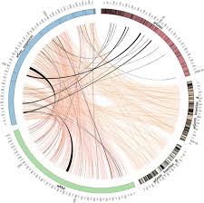 Aptive is a residential and commercial pest control service. Comparative Genomic Analysis Of Six Glossina Genomes Vectors Of African Trypanosomes Springerlink