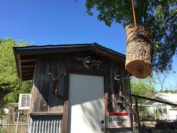 We exist to help you reach your tree goals! San Antonio Trees Services Isa Certified Arborist Diego Tejada Tx 4466a
