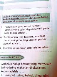 Apa kata alkitab mengenai iblis? Pertanyaan Tentang Mangrove Masnurul