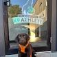 Core Pawtential | New England K9 Athlete