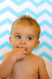 Pink Birch Photography