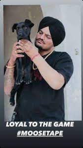 So high | sidhu moose wala. 140 Dil Da Ni Mada Sidhu Moose Ala Ideas In 2021