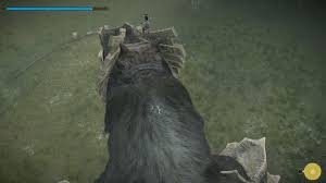 Players take the role of a young man seeking the truth of an ancient tale of power hidden. Shadow Of The Colossus Basics Shadow Of The Colossus And Ico Wiki Guide Ign