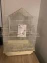 Bird Cage-Never Used - Other Garden in New Beith QLD | Gumtree ...