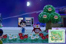 How To Find Celeste, Shooting Stars, And All Diy Recipes In Animal  Crossing: New Horizons - Hey Poor Player