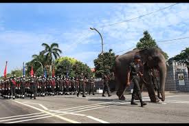 Is may day a public holiday? Nz In India On Twitter Happy 73rd Independence Day To All Sri Lankans We Look Forward To Continuing And Advancing Our Strong Legacy Of Friendship And Collaboration Nzsrilanka Image Soldiers At Independence