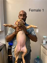 Tamir Jackson (@AgentPopJacks)