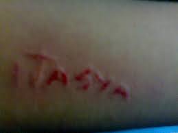 We did not find results for: 10 Bio Absurd Di Twitter