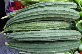 We did not find results for: Gambas Sayuran Potensial Yang Belum Dapat Perhatian Satu Harapan