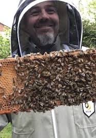 The Essex Beekeeper
