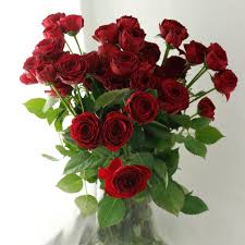赤 バラ 品種 切り花