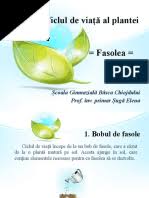 Amestecurile heterogene au cel puțin două faze diferite. Amestecuri Omogene Si Eterogene