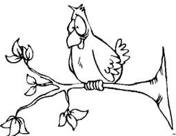 Malvorlage Vogel Auf Ast Coloring And Malvorlagan