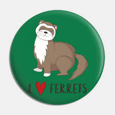I Love Ferrets - Cute Ferret Pet Love Animal Design - Ferret - Pin |  TeePublic