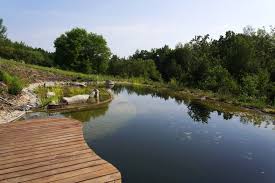 Piscine Naturelle La Piscine Ecologique Sans Entretien