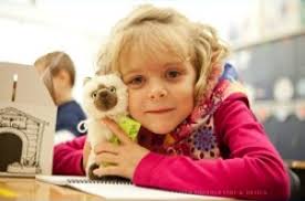 Two by Two Character Development