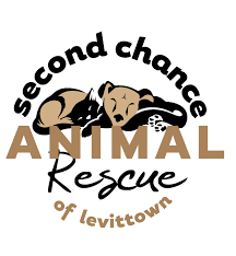 Maybe you would like to learn more about one of these? Pets For Adoption At Second Chance Animal Rescue Inc In Levittown Ny Petfinder
