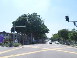 Check spelling or type a new query. Sungai Udang Wikipedia Bahasa Melayu Ensiklopedia Bebas