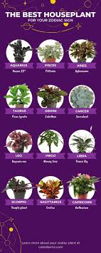 The Best Houseplant For Your Zodiac Sign In 2020 Plants Purple Plants Plant Finder
