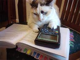 The Only Student In The Class Who Got Calculus Math Cats Funny Cat Pictures Cats