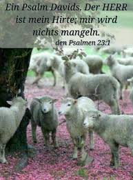 Der Herr Ist Mein Hirte Susse Tiere Wilde Tiere Schafe
