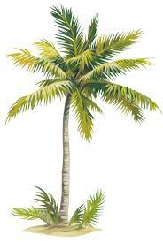 Pin By Reham Nagy On Projet Developpement Visuel Palm Trees Painting Tree Art Beach Art Painting