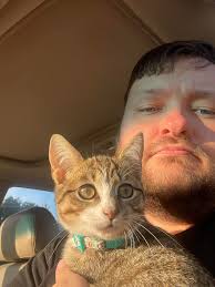 Lost 12-week-old puppy named Chilly in VB