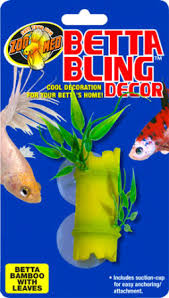 Because of their aggressive nature. Betta Products Zoo Med Laboratories Inc