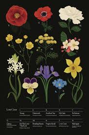We did not find results for: Samsmith On Twitter I Wanted To Select A Flower To Represent Each Of The Tracks On My New Album Love Goes Every Flower Has A Special Meaning Inspired By The Creation And
