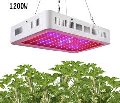 At our location in vorarlberg, we develop and manufacture outstanding and efficient led lights for use in professional horticulture as well as in the home and hobby sector. Hot Sale Sunlight Led Grow Light Plant Grow Light Led Grow Light With Factory Prices Buy Sunlight Led Grow Light Plant Grow Light Led Grow Light Product On Alibaba Com