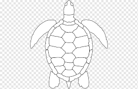 Turtle Art Green Sea Turtle Drawing Turtle Outline Symmetry Sticker Animal Png Pngwing All turtle clip art are png format and transparent background. turtle art green sea turtle drawing